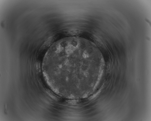 X0000092220182200710121204