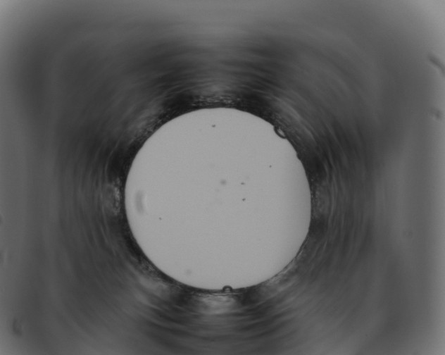 X0000092220183200710121204