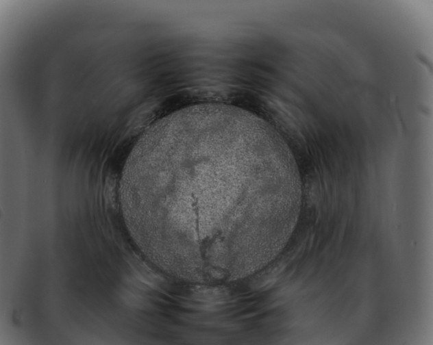 X0000092220185200710121204