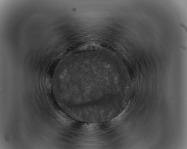 X0000092220186200710121204