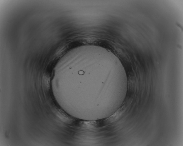 X0000092220188200710121204