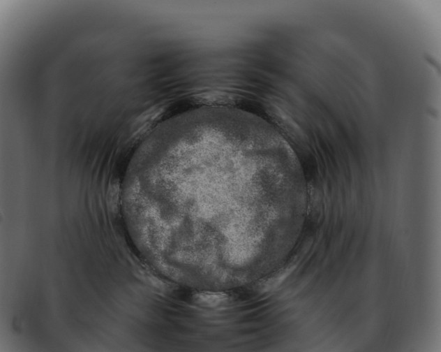 X0000092220189200710121204