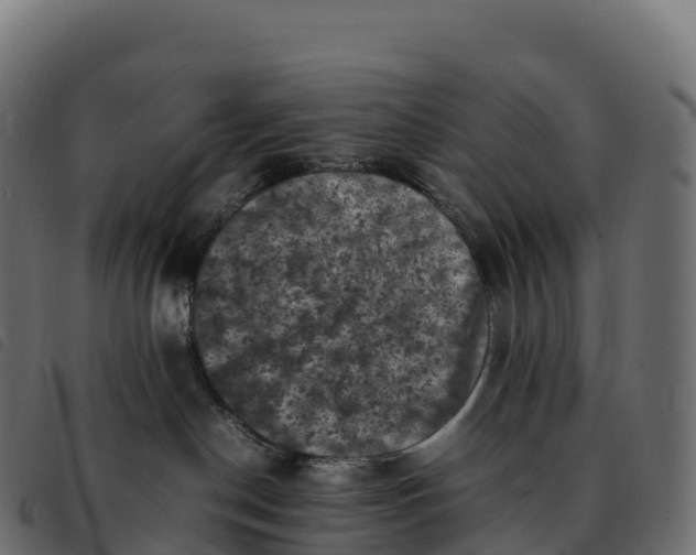 X0000092220190200710121204