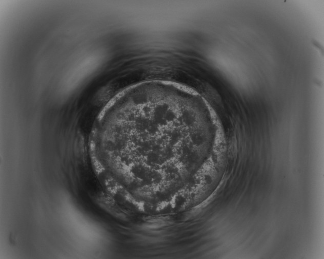 X0000092220191200710121204