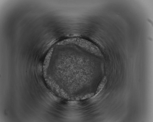 X0000092220192200710121204