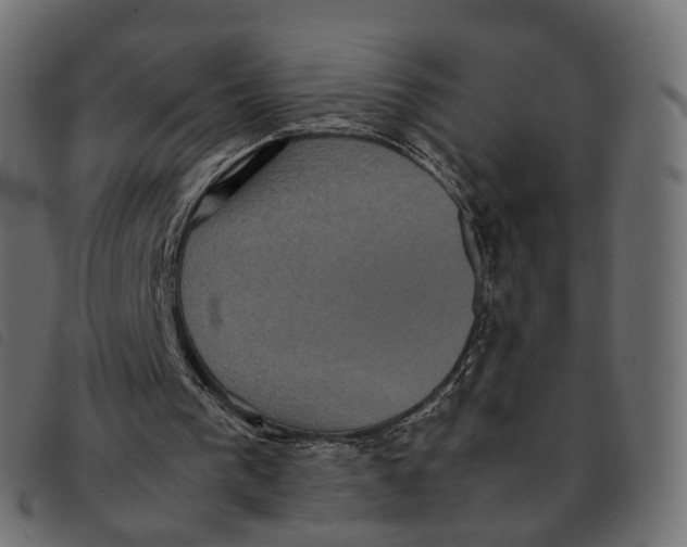 X0000092220193200710121204