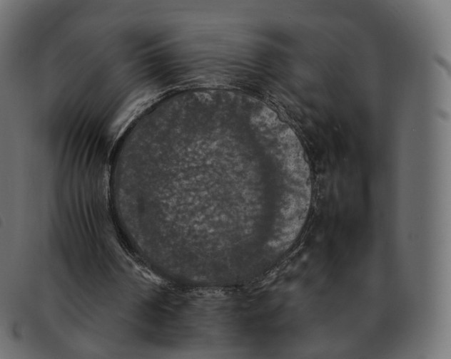 X0000092220194200710121204