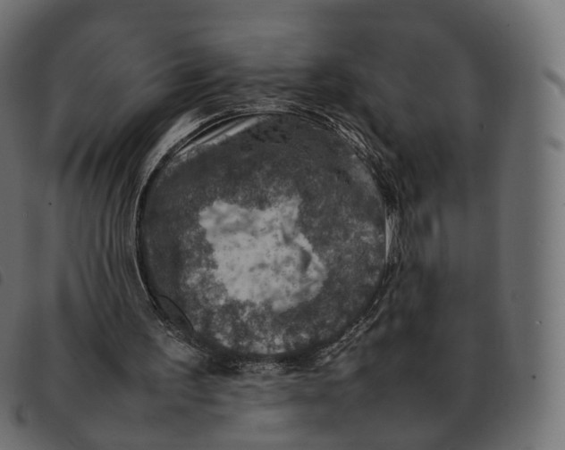 X0000092220195200710121204