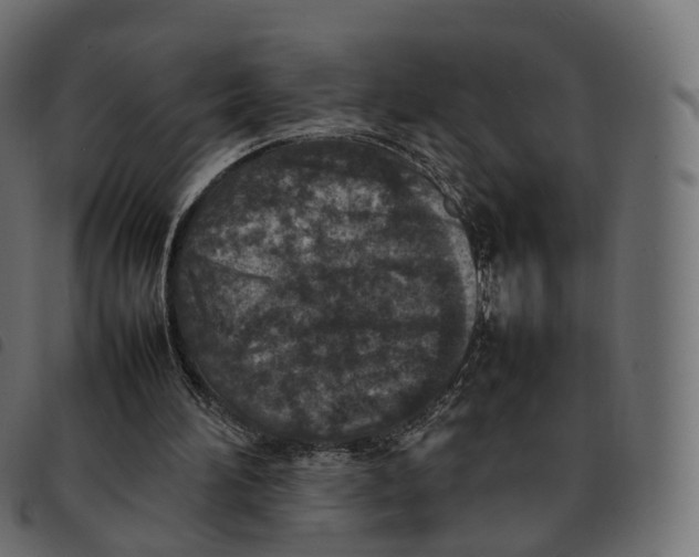 X0000092220196200710121204