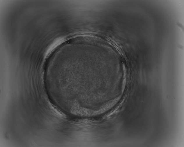 X0000092220197200710121204