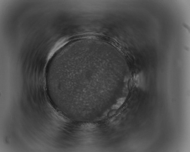 X0000092220198200710121204