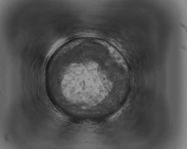 X0000092220199200710121204