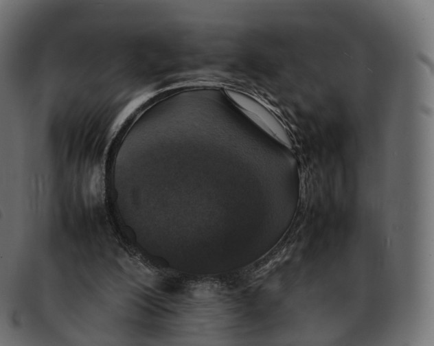 X0000092220200200710121204