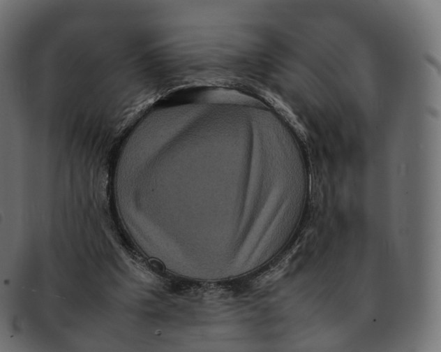 X0000092220201200710121204