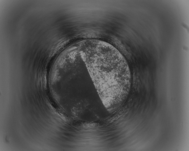 X0000092220202200710121204