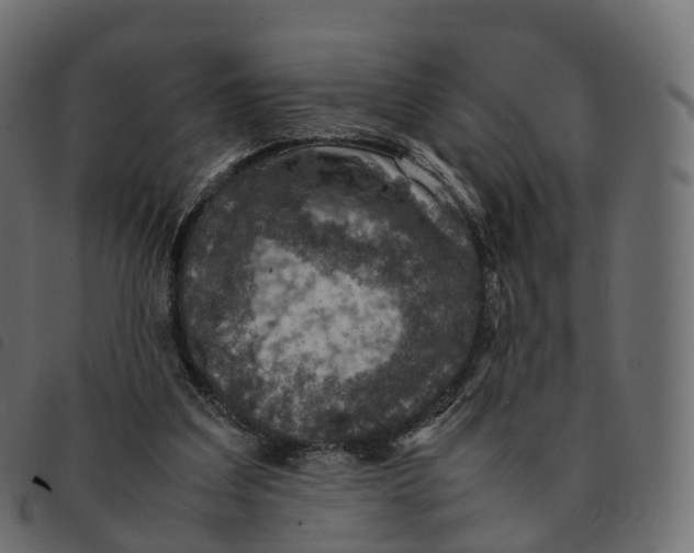 X0000092220203200710121204