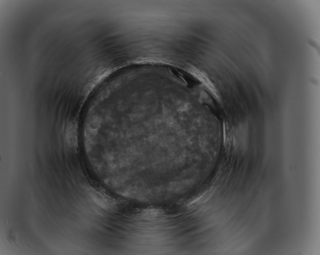 X0000092220204200710121204