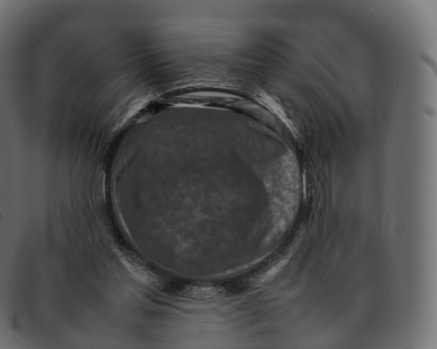 X0000092220205200710121204