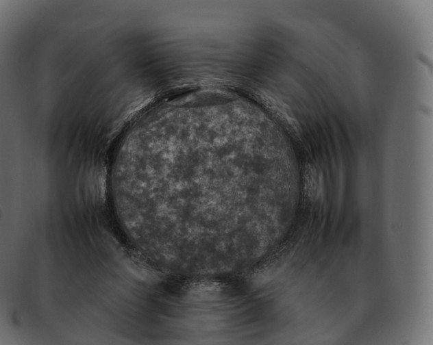 X0000092220206200710121204