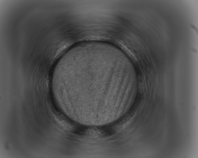 X0000092220207200710121204