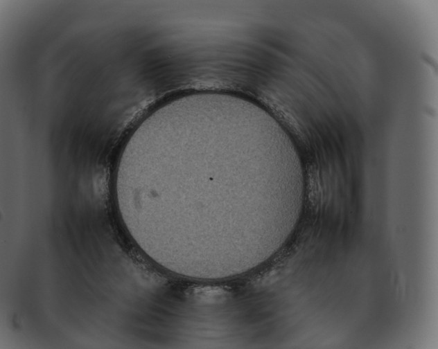 X0000092220208200710121204