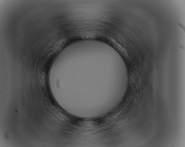 X0000092220209200710121204