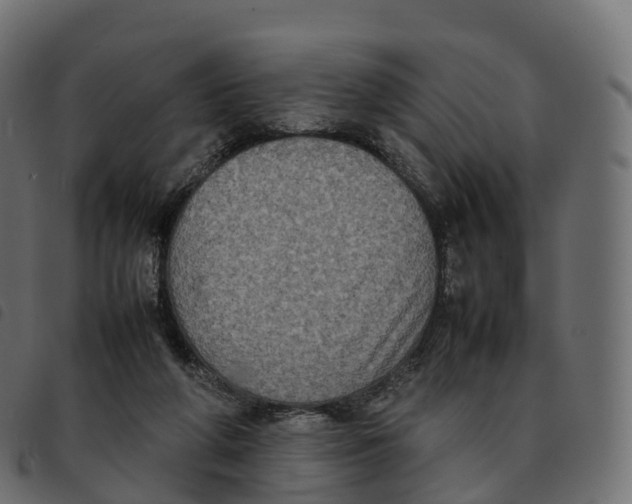 X0000092220210200710121204