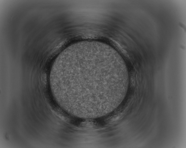 X0000092220211200710121204