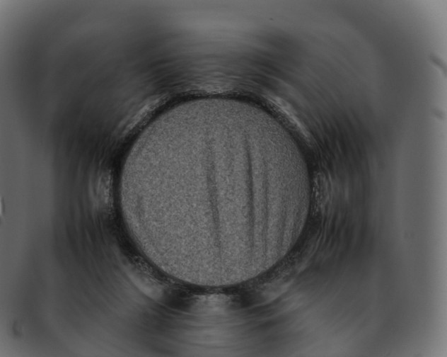 X0000092220212200710121204