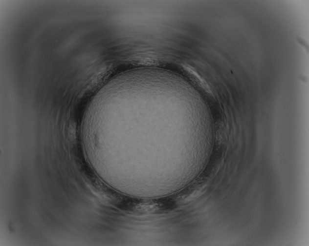 X0000092220213200710121204