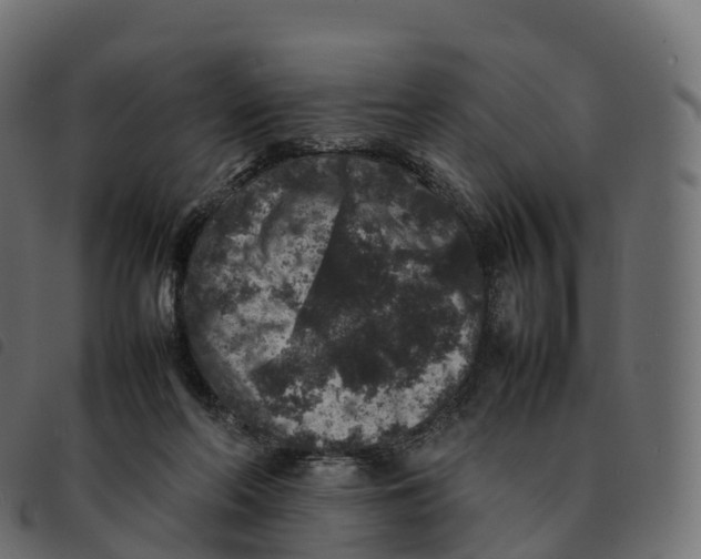 X0000092220214200710121204