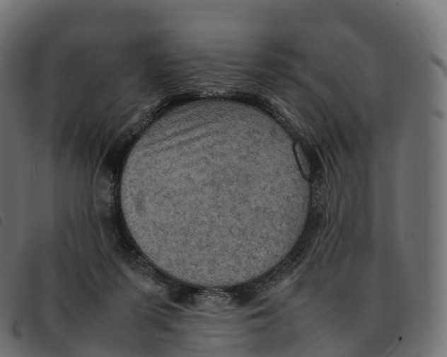 X0000092220215200710121204