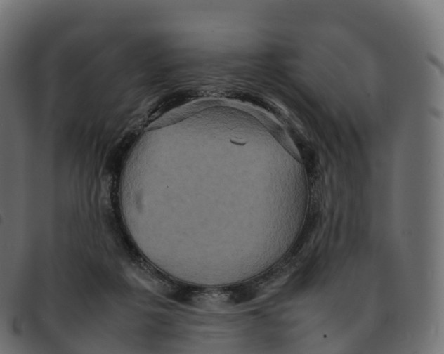 X0000092220217200710121203