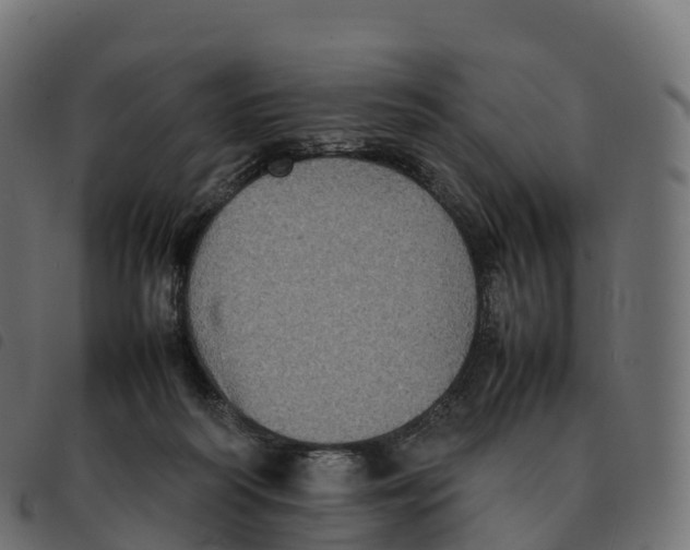 X0000092220218200710121203