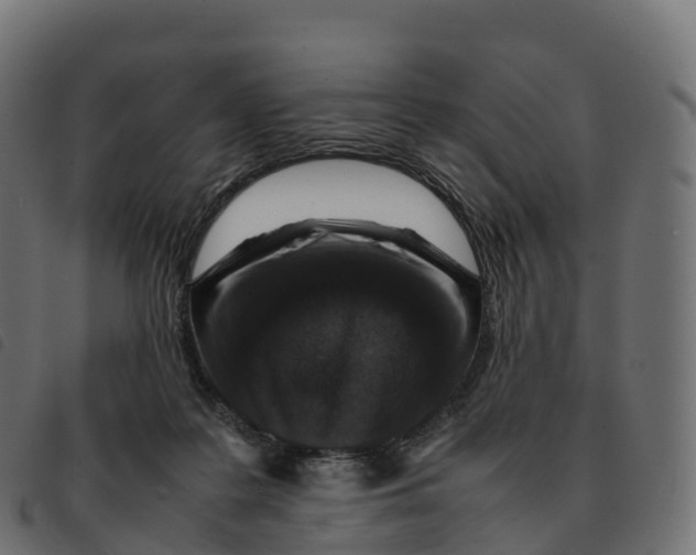 X0000092220219200710121203