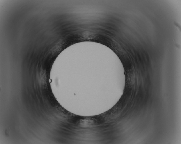 X0000092220220200710121203