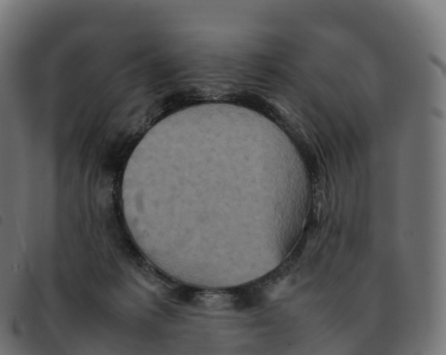 X0000092220221200710121203