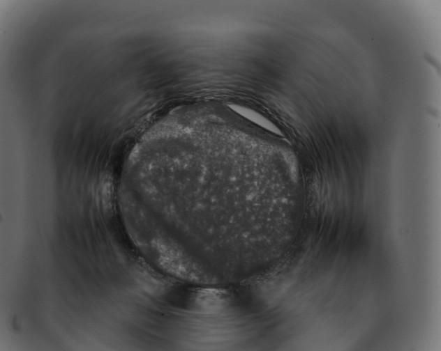 X0000092220222200710121203