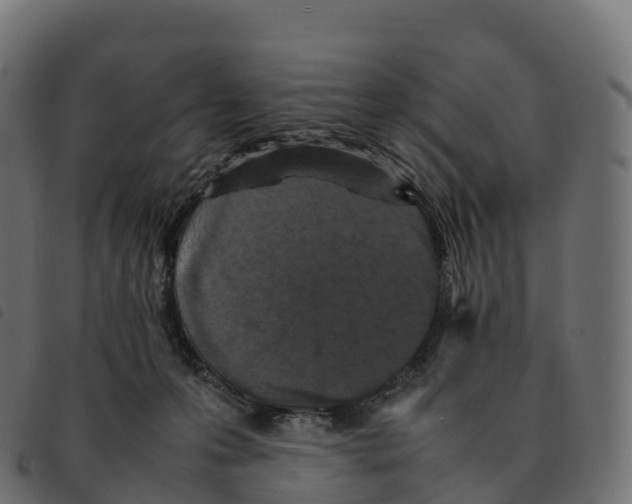 X0000092220223200710121203