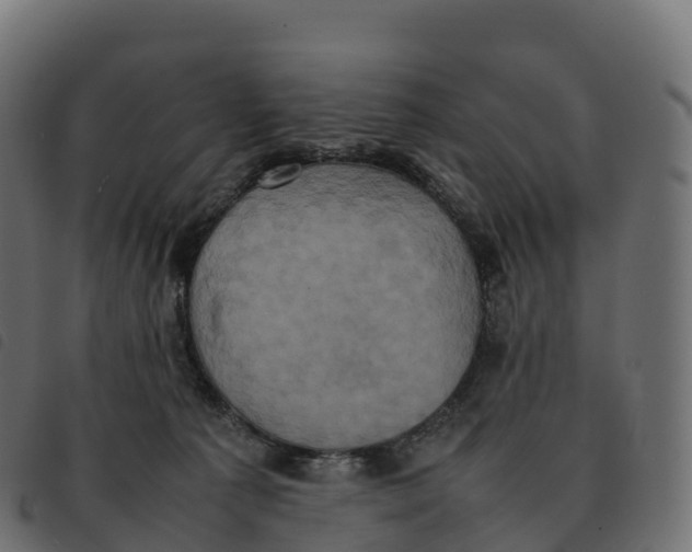 X0000092220225200710121203