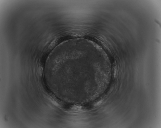 X0000092220227200710121203