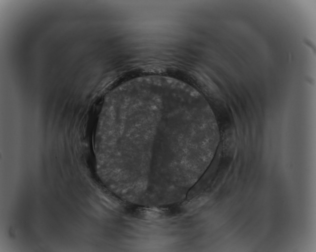 X0000092220229200710121203