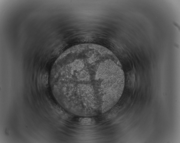 X0000092220230200710121203