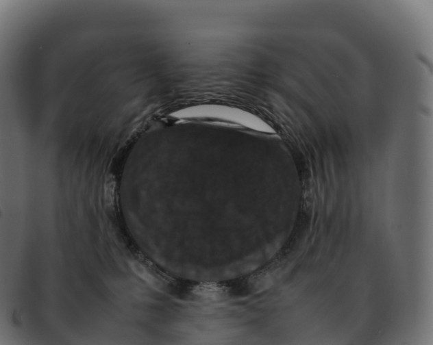 X0000092220231200710121203