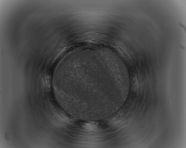 X0000092220232200710121203