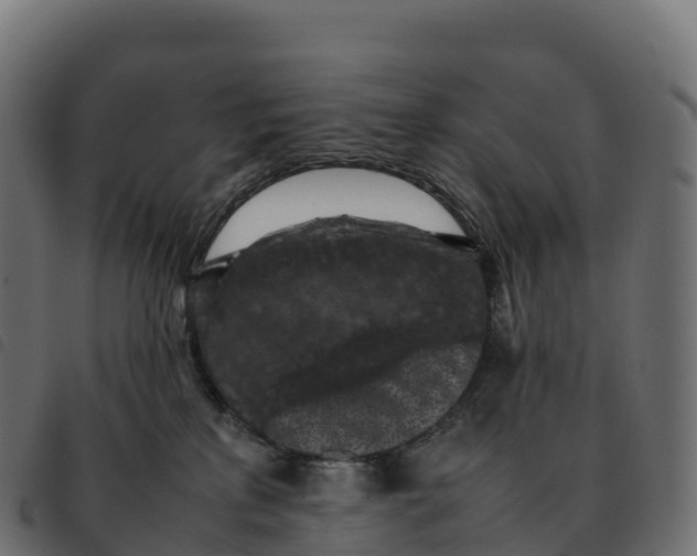 X0000092220233200710121203