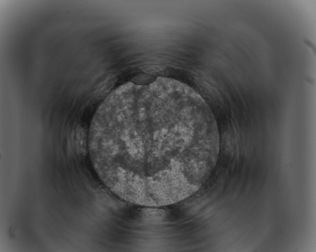 X0000092220234200710121203