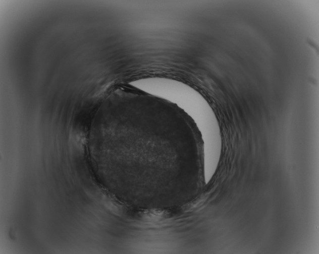 X0000092220235200710121203