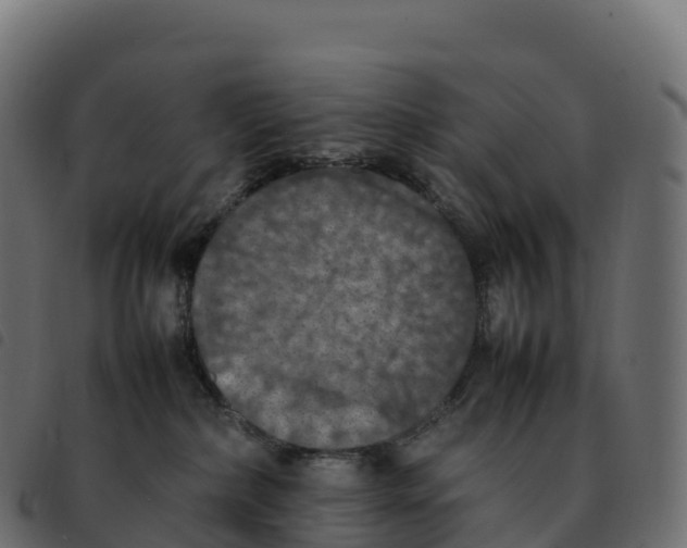 X0000092220236200710121203