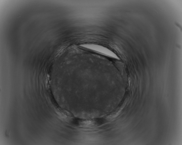 X0000092220237200710121203